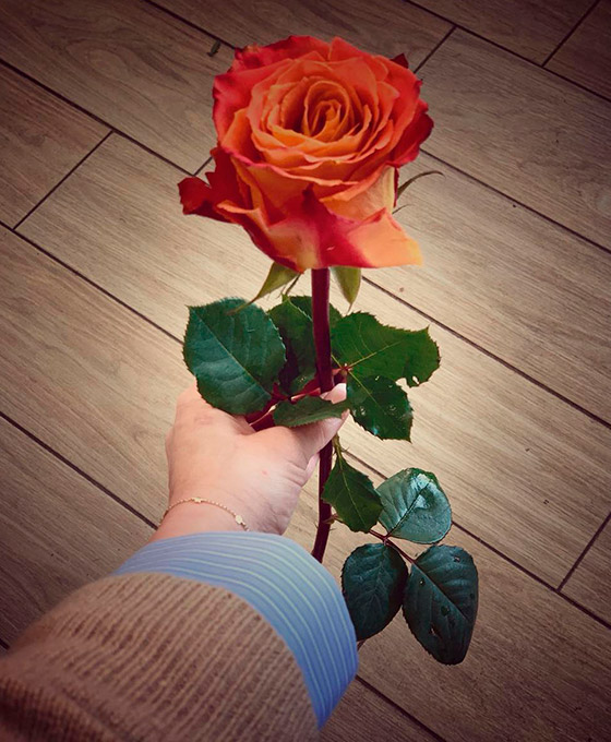 Ramos de rosas rojas